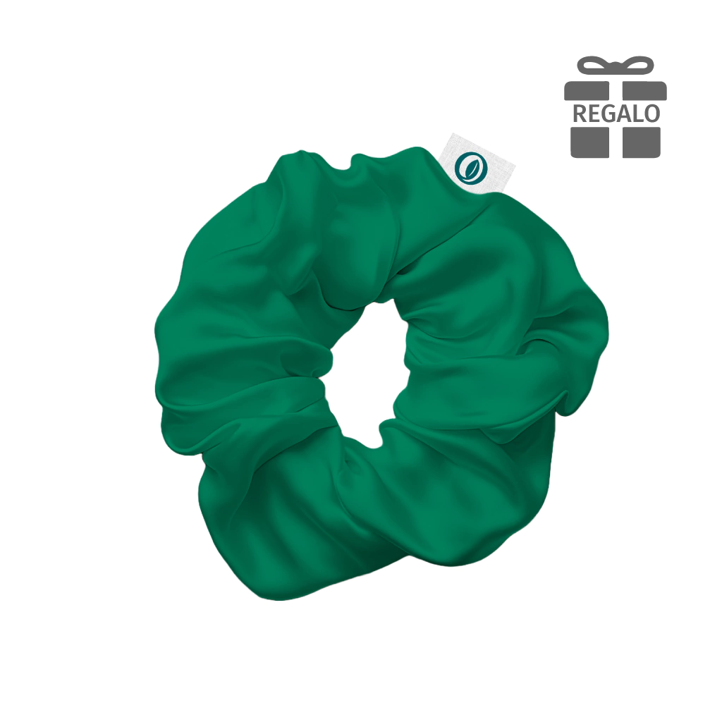 scrunchie - REGALO